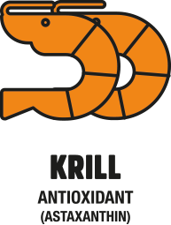 Krill