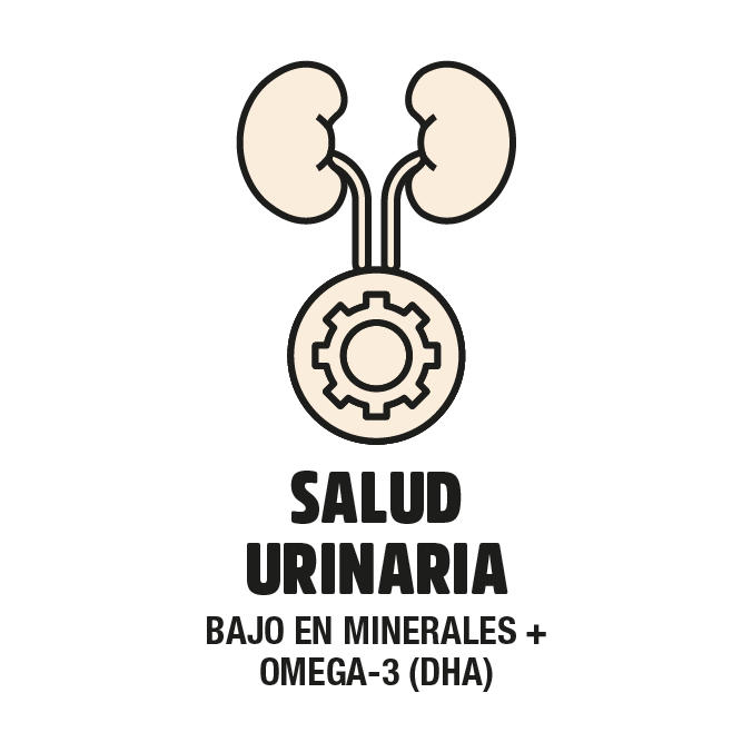 Salud urinaria