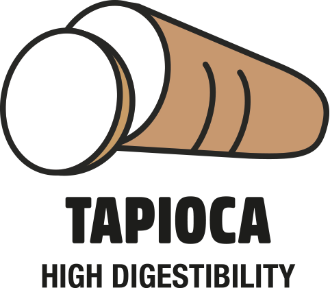 Tapioca